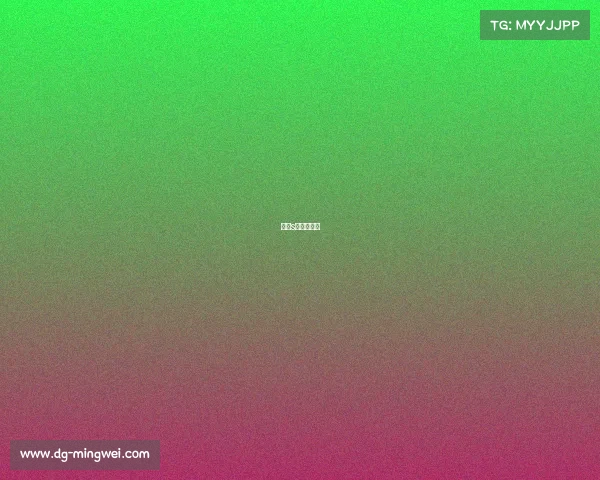 历届s赛比赛地址